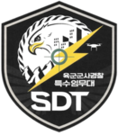 CAㅣSpecial Duty Teamㅣ특수임무단