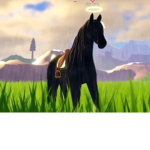 Moonstone Riding Club