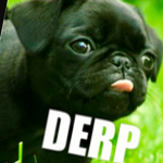 The adorable puppy's