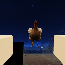 A Night At The Chicken Coop