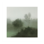 ForestCube