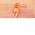 LILIS FLOWERS