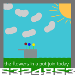 the flowers in a pot