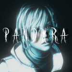 Pandxra Clothing