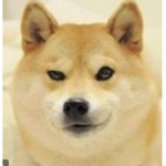 Captain doge YT