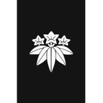 Minamoto (ZO clan)