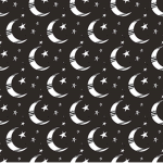 •Lovely Moons•