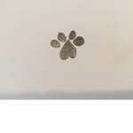 I Heart Paws