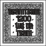 [BT] BeamTeam 1200