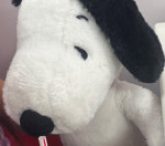 Snoopy*s Angels