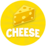 The Cool Cheesy Group