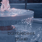 Bumblebees Group!