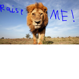 Raise Your Own Lion