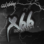 x66'