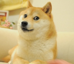 King Doge Community Group