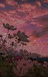 *.aesthetic..*