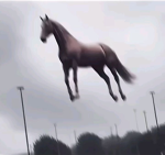 Andreabbyggs