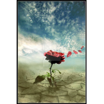 The Southern Roses (Westbound)