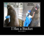 Da Bucket Squad