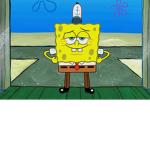 The sponges united