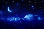 StaryNightSquad