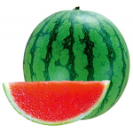 Melon Squad!!!!!
