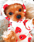 - | skay's boutique! | -