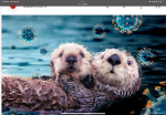 Otters for ever