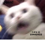 I d k :))