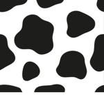 Magliette_qool