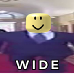 W I D E