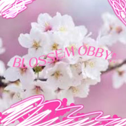 blossem obby!!