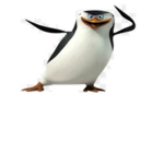 the cool clubbbbbbbbbbbbbbbbb