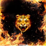 FIRE SHOOTAS