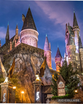 Harry potter group have a nice day
