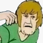 Shaggy's Fans