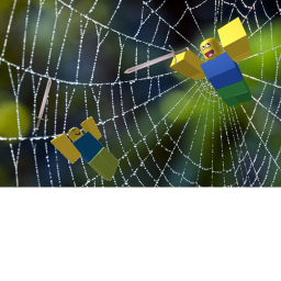 Spider Web Battle