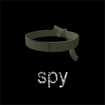 the assassin team Spy Division