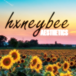 hxneybee aesthetics