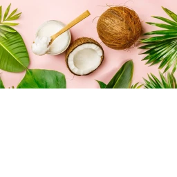 THE COCONUT NUT icon