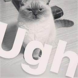 "( – ⌓ – )