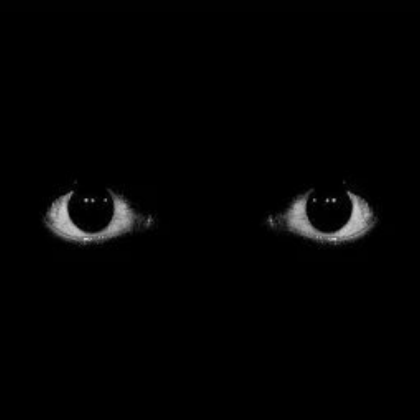 weirdcore/creepy eyes Roblox decal