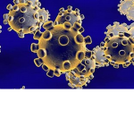 corna virus