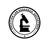 Creation Lab Research Department