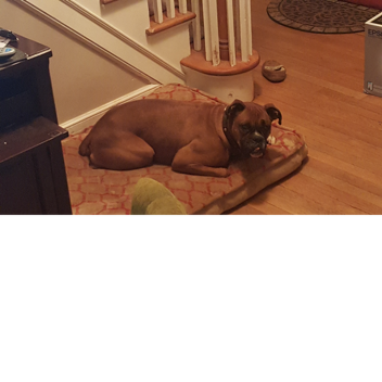 Savagepug1457's Place Number: ##