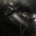 ii' Group Thumbnail
