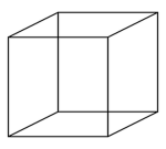 Box'd