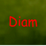diam
