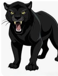 …!Black Panthers…!