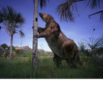 THE PREHISTORIC TEAM SLOTH